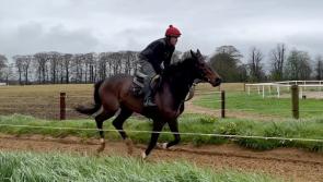 WATCH: Limerick trainer Eric McNamara targets Irish Grand National glory 
