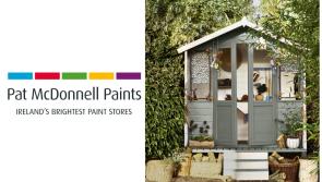 Paint Like a Pro: How to Paint a Wooden Shed