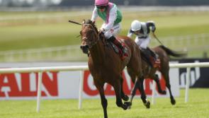 RESULTS: Irish Derby day racing results from the Curragh - all you need to know!