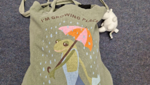 GALLERY: Garda&iacute; publish pictures of belongings lost at summer concerts