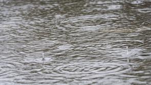 Storm Betty: Heavy rain and strong winds batter Ireland overnight leaving damage and disruption 