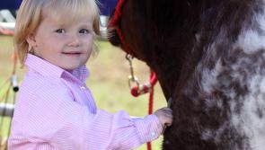 WATCH: Limerick Show is once again a big hit!