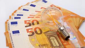 Third energy supplier slashes prices but will we still get &euro;200 off in Budget 2024?