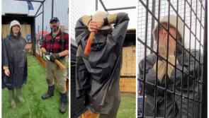 WATCH: Our reporter tried axe-throwing at the Ploughing and it went badly wrong