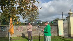 WATCH: Limerick Hurler raises Green and Amber flags at Limerick school 