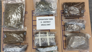 Garda&iacute; arrest man in his 50s after discovery of large cannabis stash