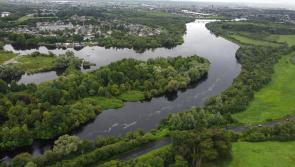 Three men convicted of illegal&nbsp;fishing&nbsp;offences on river Shannon