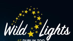 Events in Ireland this winter: Dublin Zoo's 'Wild Lights' return date revealed