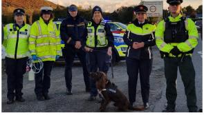 Assassination attempts to dutiful detection dogs - Garda report marks 100 years of keeping people safe