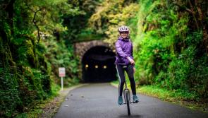 The glory of the autumnal Limerick Greenway - Green Limerick