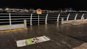 Hundreds in Limerick set to be without power for the day after Storm Debi hits