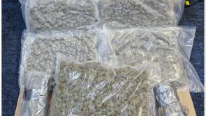 Man arrested after garda&iacute; conduct cannabis bust valued at &euro;120k