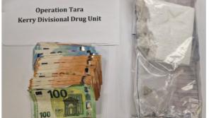 Man arrested after garda&iacute; seize firearms, cocaine and cash in east Kerry
