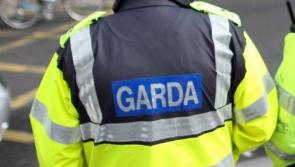 Garda&iacute; launch human trafficking investigation following discovery of 14 people in container