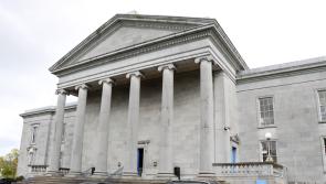 Teenage girl admits assaulting garda at Lidl store in Shannon