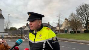 Carlow crash 'one of the most severe I've attended - it was really, really traumatic,' says Supt