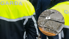 Over half a million euro worth of drugs suspected to be cannabis seized in Limerick and Cork