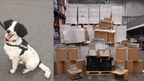 Illegal cigarette factory making fake 'Marlboros' busted by Revenue officers