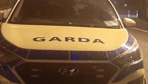 Offaly residence targeted by Roscrea protesters