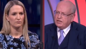 'Serious consequences' - Former Justice Minister clashes with McEntee on family vote