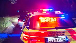 Westmeath: Car seized after driver 'forgot' to renew insurance since last September