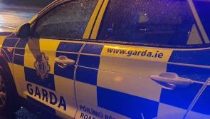 Garda&iacute; spark witness appeal after fatal hit-and-run on St Patrick's Day