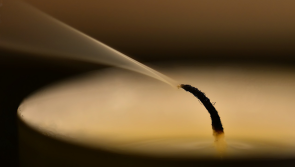 Truck driver in his 40s pronounced dead following single vehicle collision on M11