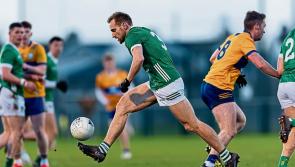 Relegated Limerick take on Offaly in final league group game 