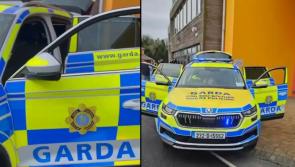 WATCH: Garda&iacute; join the festivities at car meet-up charity event