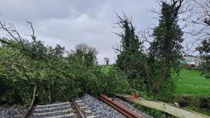 Commuter chaos as train services suspended due to fallen trees during Storm Kathleen