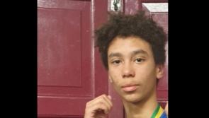Garda&iacute; stand down search for missing 14-year-old teen