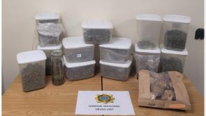 Two men arrested as garda&iacute; seize over &euro;125k worth of cannabis and magic mushrooms