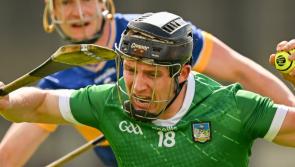Rebels trip up next for undefeated Limerick Senior Hurlers