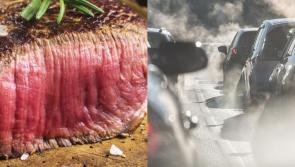 Half of Irish people refuse to change diet or car usage to stop climate change