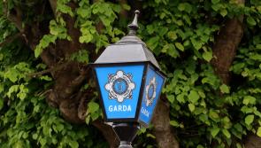 Elderly woman seriously injured in Dundalk attack 10 days ago dies in hospital
