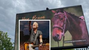 Connemara Pony Sales create hilarious ad for Bruce Springsteen during his time in Cork