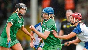 Limerick begin camogie championship campaign with Kilkenny test
