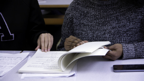 Irish NGOs supporting integration of asylum seekers to get &euro;2.5m in govt funding