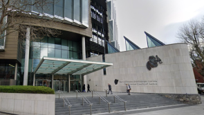 Murder trial delayed for law professor accused of fatal Dublin farm shooting