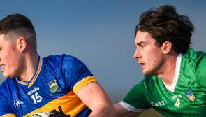 Limerick host Tipperary in Tailteann Cup this Saturday