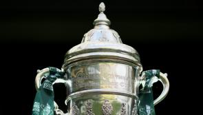 Treaty United men's and women's teams and Pike Rovers learn FAI Cup draws