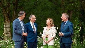 Green Limerick: Sustainability experts emphasise critical need for research and standards