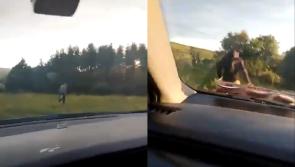 'Disgusting' - Shocking video shows men in Wicklow attempting to run down migrants with car