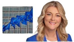 'Don't ditch radio from new cars' Ireland MEP N&iacute; Mhurch&uacute; to ask car manufacturers