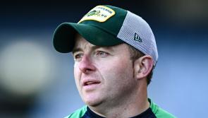 Limerick man appointed new Westmeath senior hurling manager
