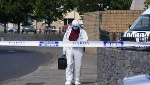 Woman arrested over violent murder of young man in Dublin