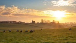 Make the most of the sun as Met Eireann predicts 'unsettled' Bank Holiday weekend u-turn