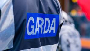 UPDATE: Second man arrested in connection with death of man in Wexford