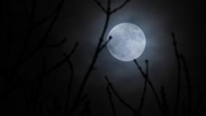 How and when to see tonight's 'extremely rare' blue supermoon visible in Irish skies