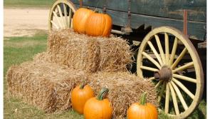 Calling all Halloween lovers - check out the top things to do this spooky season